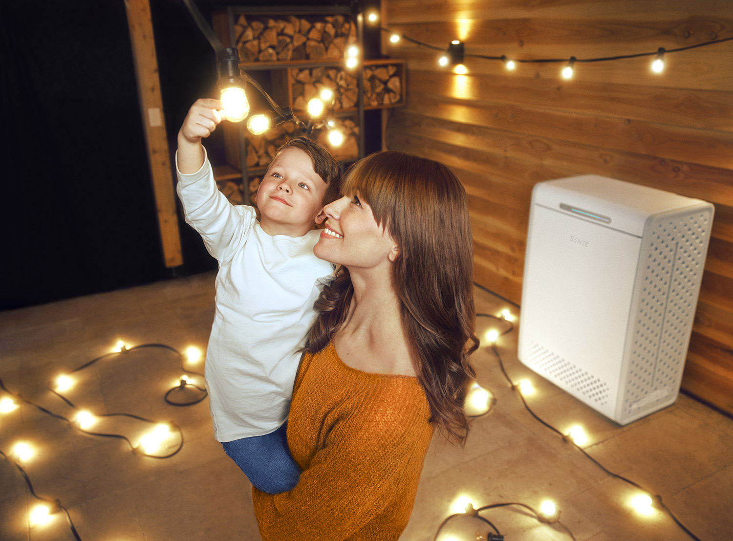 Eigenverbrauchsvergütung